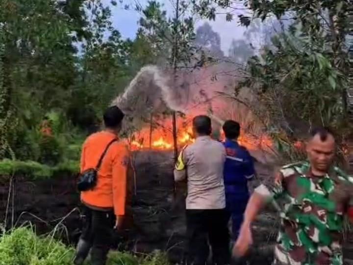 12 Kabupaten/Kota di Riau Tetapkan Status Siaga Darurat Karhutla